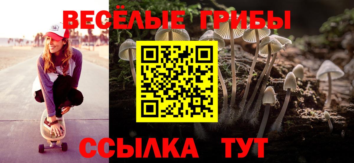 закладки  Вход с VPN  Павлово  Галлюциногенные грибы мицелий 