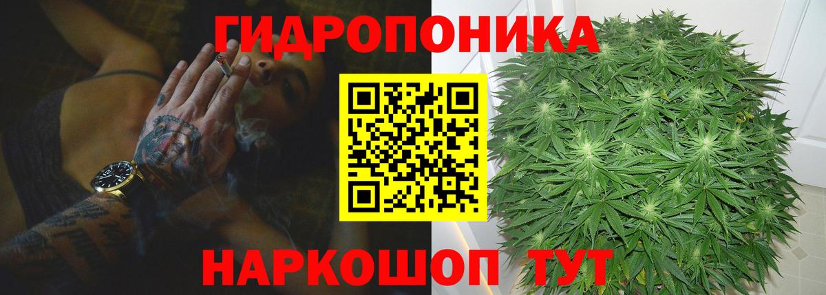 Каннабис планчик Павлово